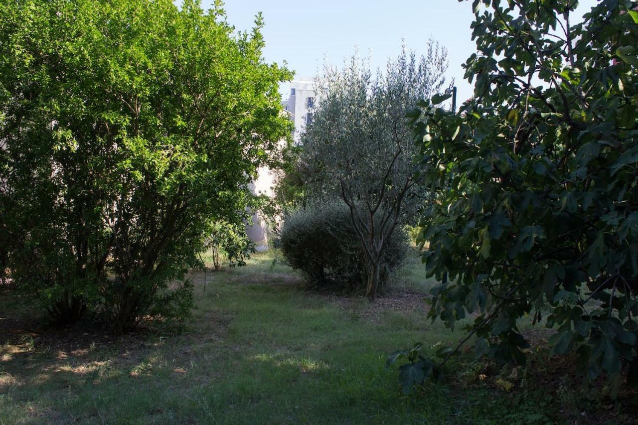 Apartment Zora Pula Exterior photo